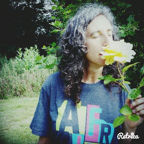 rose