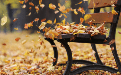 Family Constellations – The Knowing Field