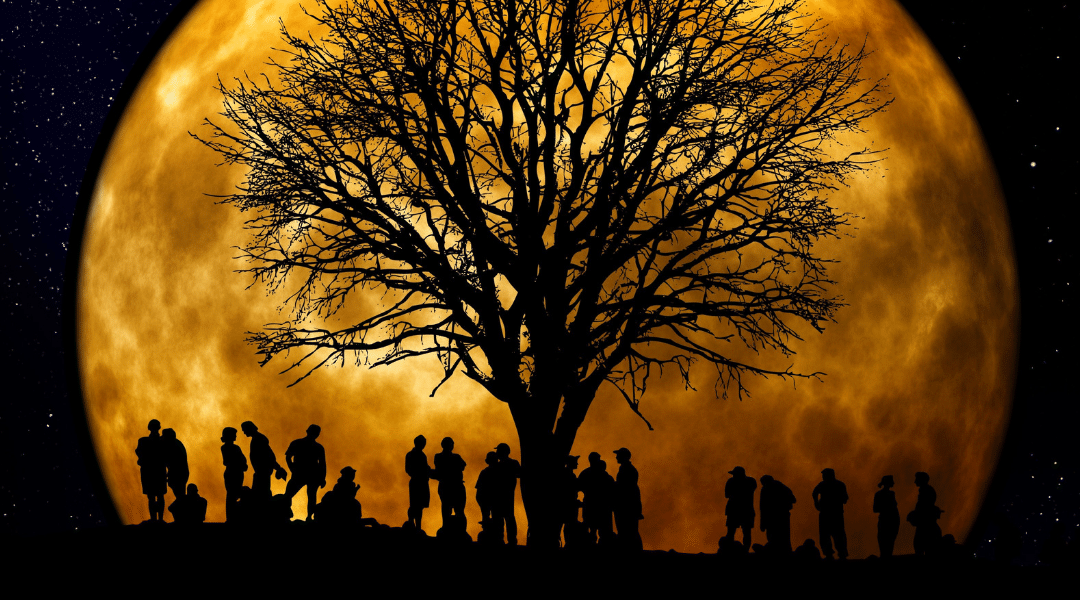 EFT and Family Constellations (video)
