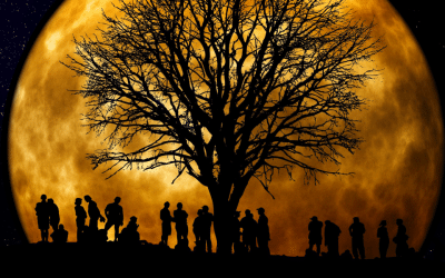 EFT and Family Constellations (video)