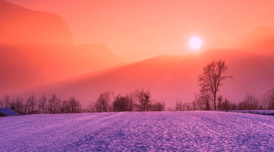 Tap into sunshine this Winter Solstice…