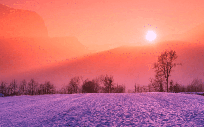 Tap into sunshine this Winter Solstice…