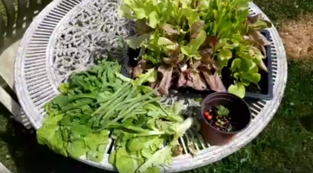 Releasing stress and plugging into Nature’s abundance