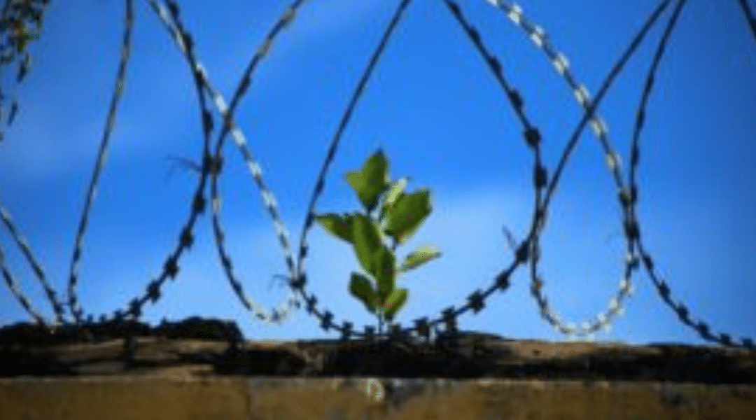 EFT Tapping for Prisoners