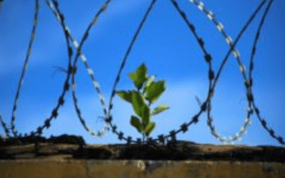 EFT Tapping for Prisoners