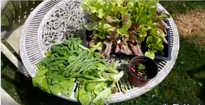 natures abundance