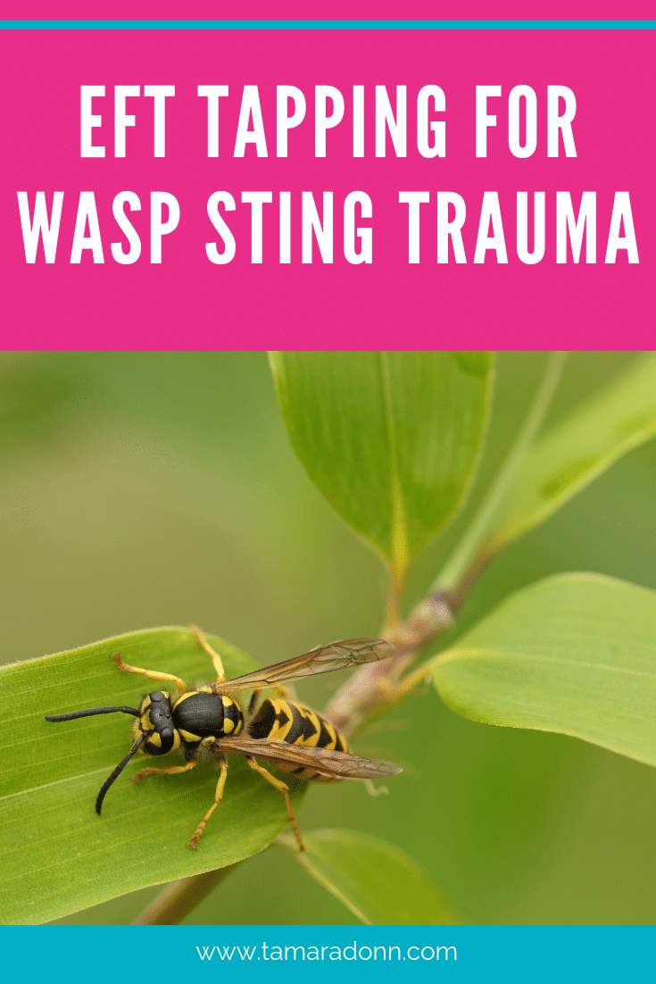 Eft tapping with Mother on Child with Wasp Sting Trauma - Tamara Donn